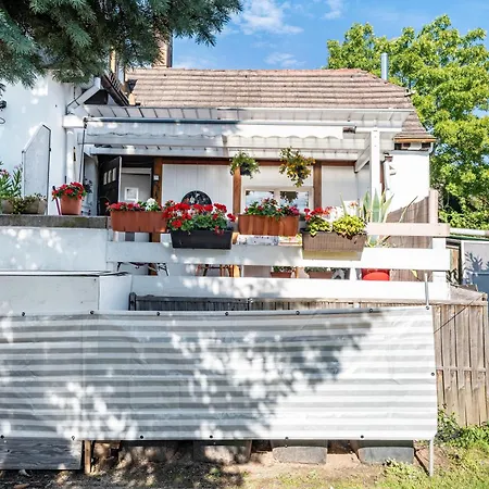 Mit Pool - アパート